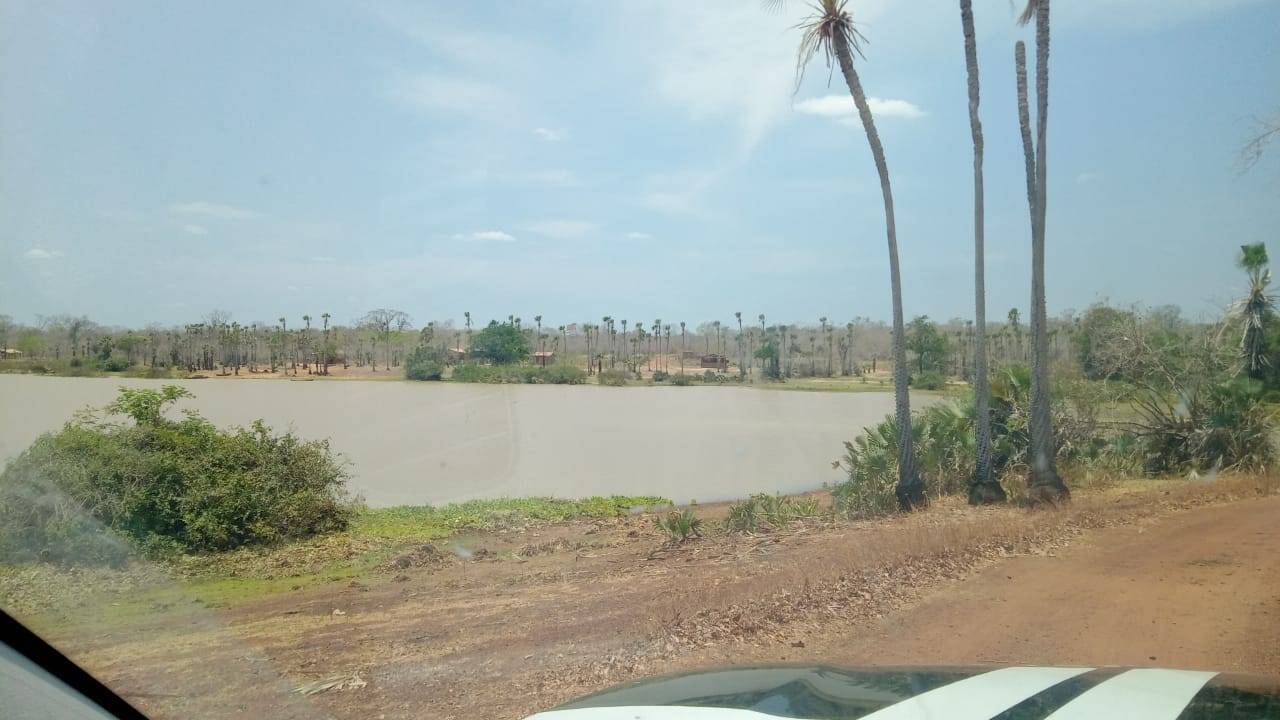Duas pessoas são investigadas por crime ambiental e grilagem de terras em Floriano